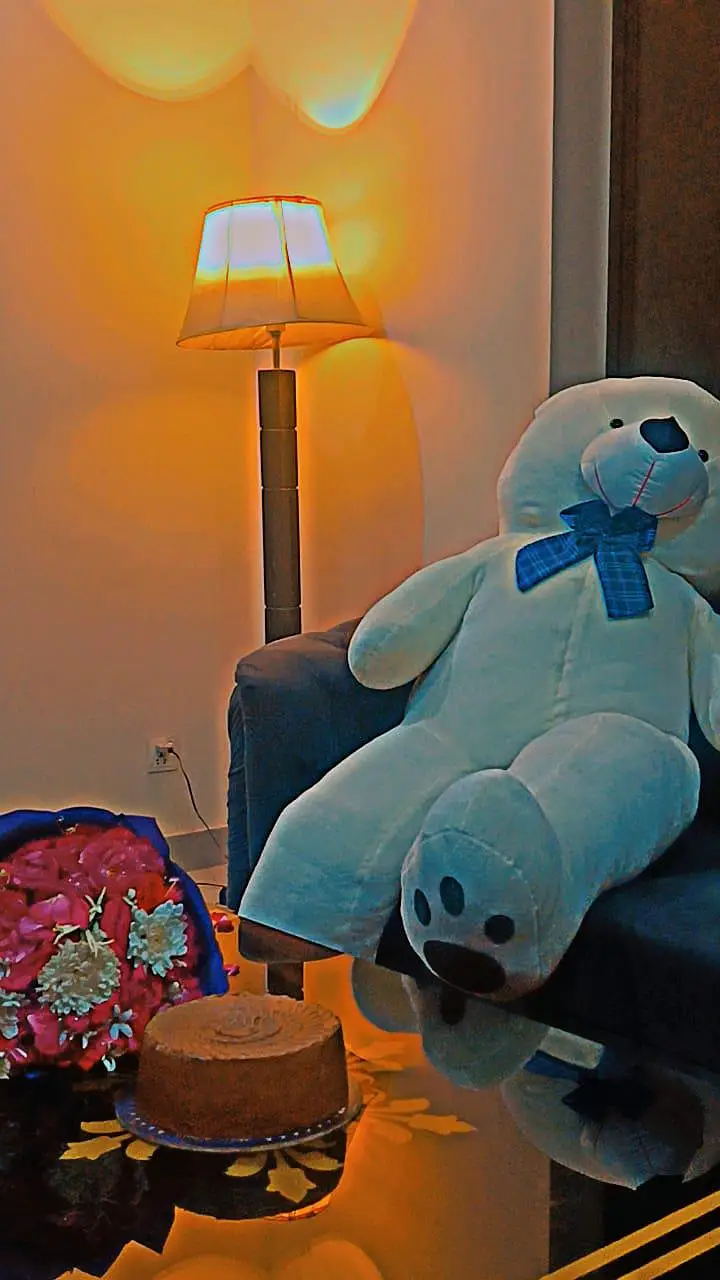 Teddy Bears/Big Size Teddy Bear/Stuff Toys/Birthday/anniversary Gift