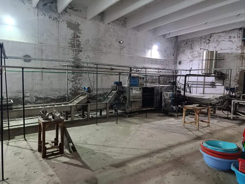 French Fries Production Line (Automatic-200Kg/hr) & Cold Storage