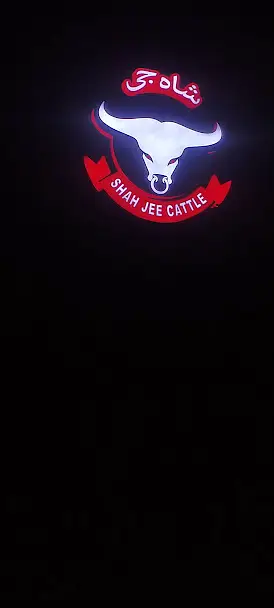 Sign Board / 3D Sign Board / 3D Sign / Neon Sign Board 3D Letters sign