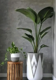 Planter / plant pots / gamla / plant pots / plants pot / gamle