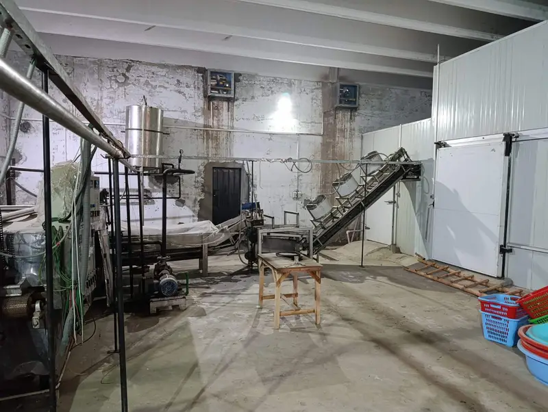 French Fries Production Line (Automatic-200Kg/hr) & Cold Storage