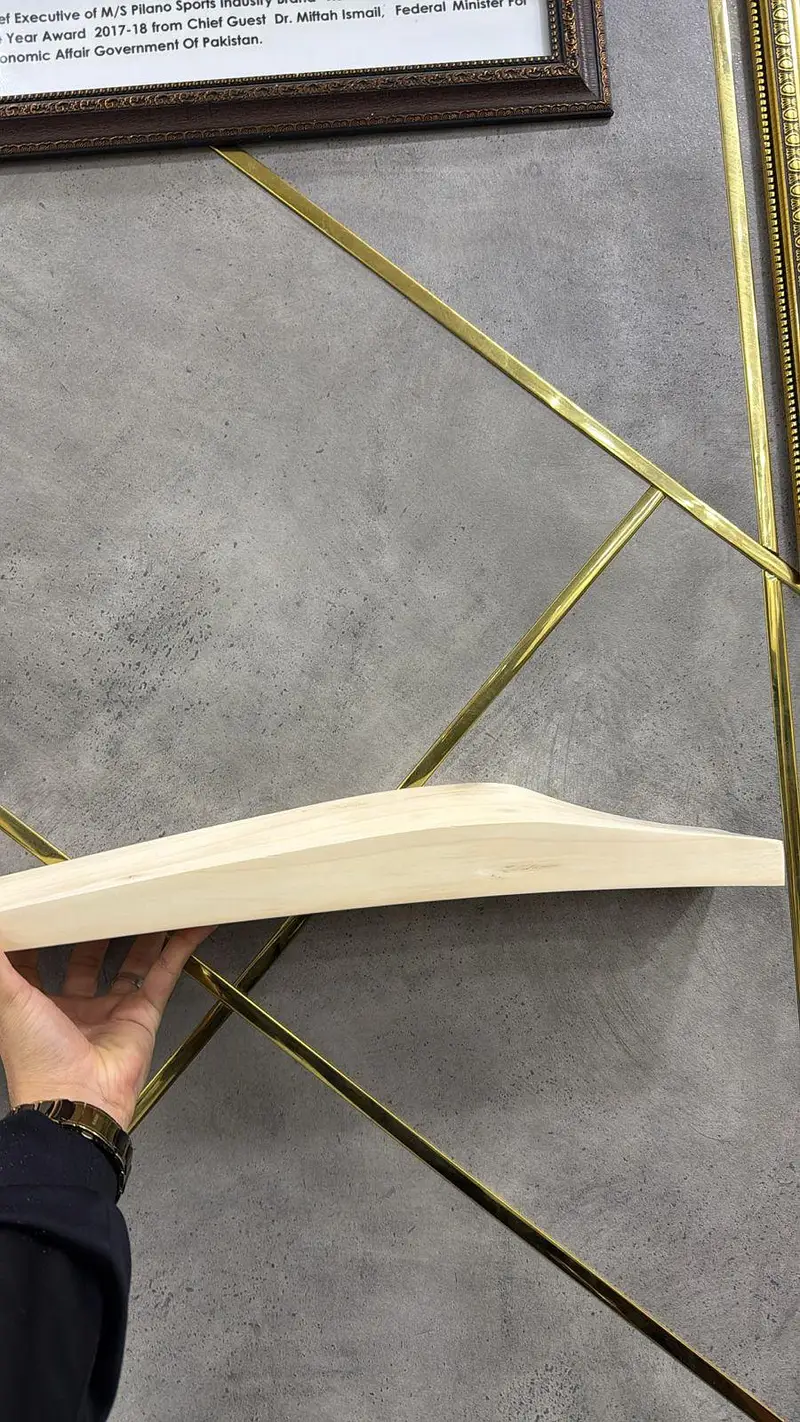 Order your Custom English Willow Cricket Bats – HS | MB | CA