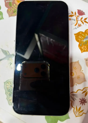 Apple iPhone 16 Pro Max