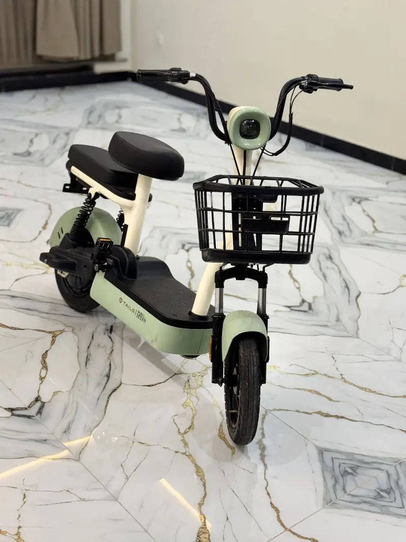 Electric scooter