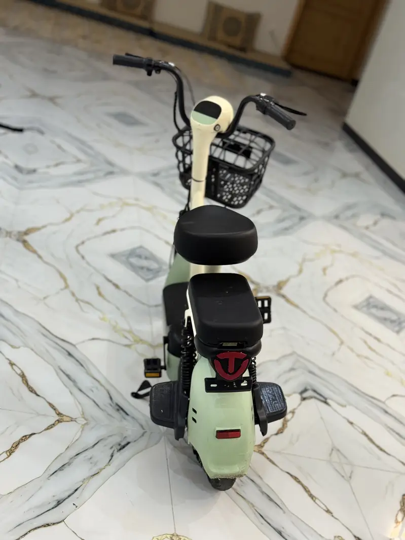 Electric scooter