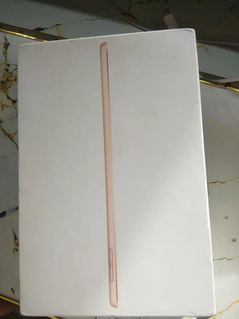 iPad Mini 5 10/10 Condition Original Box & Charger