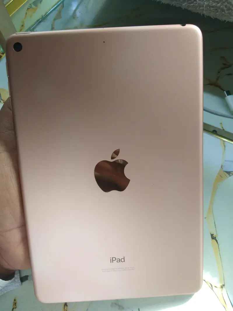 iPad Mini 5 10/10 Condition Original Box & Charger