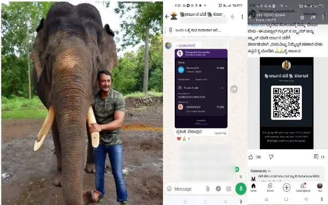 Controversy Surrounds Fundraising For Dasara Elephant Arjun Memorial