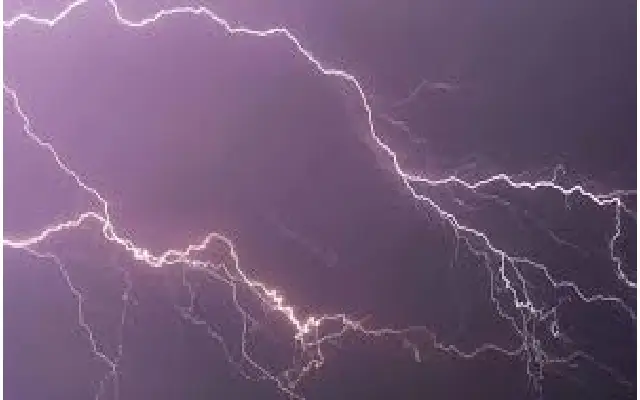 Animals Killed As Rainfall And Lightning Strikes Bijapur