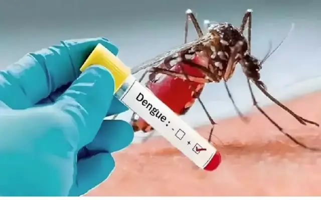 Bbmp Launched Micro Plan To Control Dengue