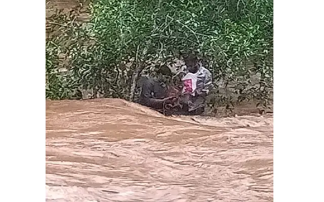 Car Plunges Into River
