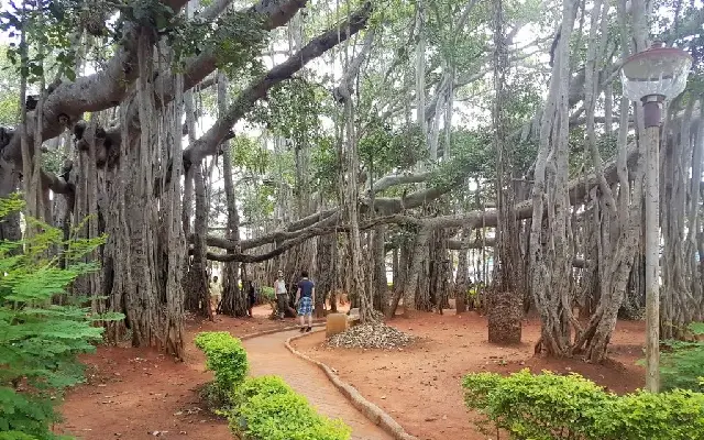 Emerging Real Estate Paradises In Karnataka Mysuru Road To Big Banyan Tree And Chikkaballapur