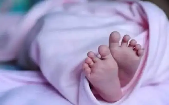 Newborn Baby's Body Found Behind Hospital In Vijayapura, Investigation Underway