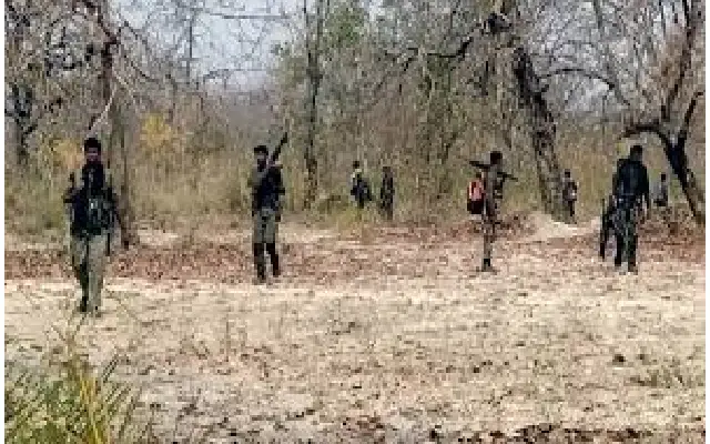 Nine Naxalites Arrested In Major Operation In Chhattisgarh's Bijapur