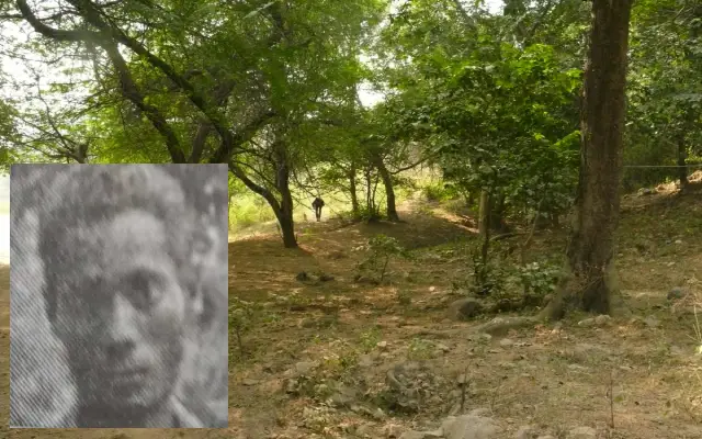 Speech Impaired Youth Spotted Wandering Forest Paths In Sullia