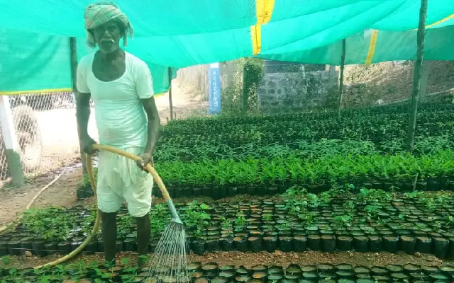 Telangana Growtresscom