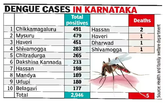 Bengaluru Reports Highest Dengue Cases In Karnataka In First Half Of The Year
