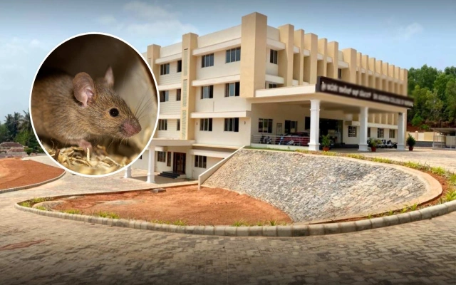 19 Students Hospitalized Due to Rat Repellent Exposure at Bengaluru ...