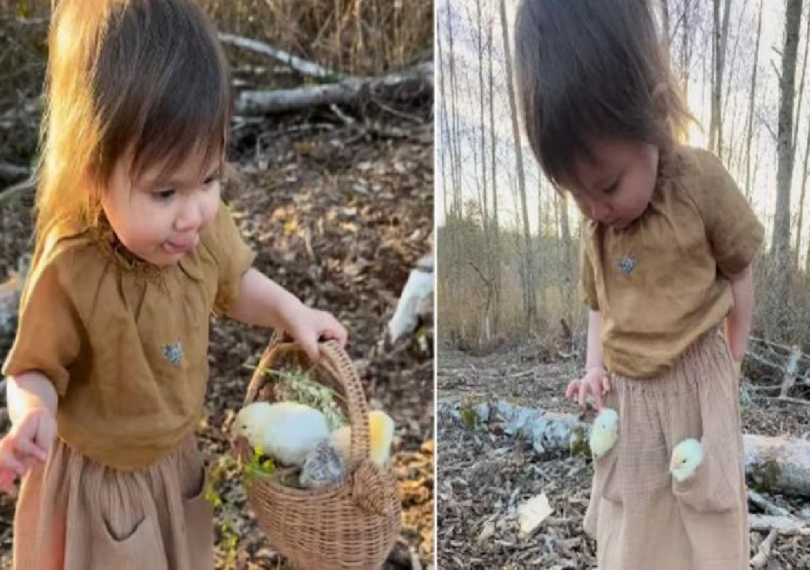 Adorable video of little girl with chick goes viral and reaches over 93 million views