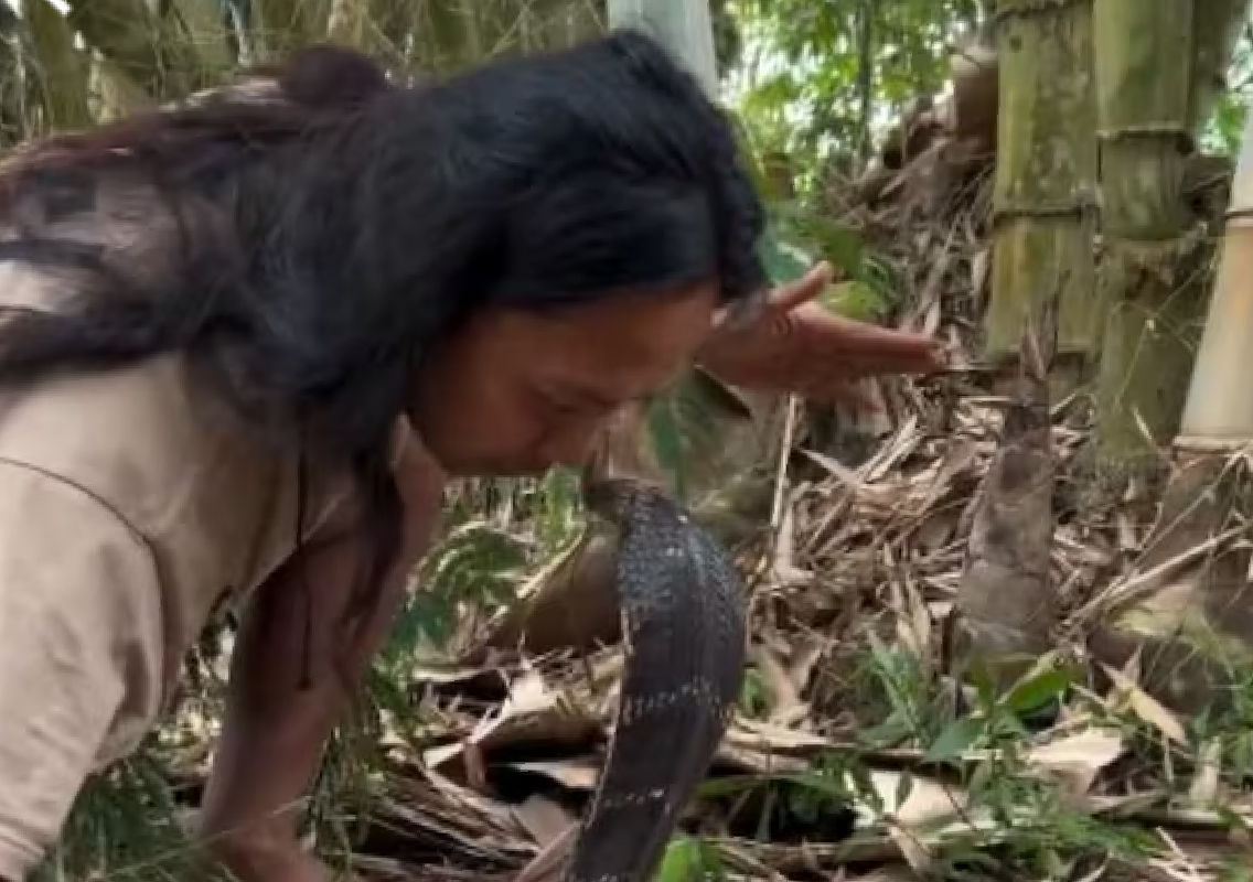 Viral video shows a man fearlessly interacting with a deadly snake