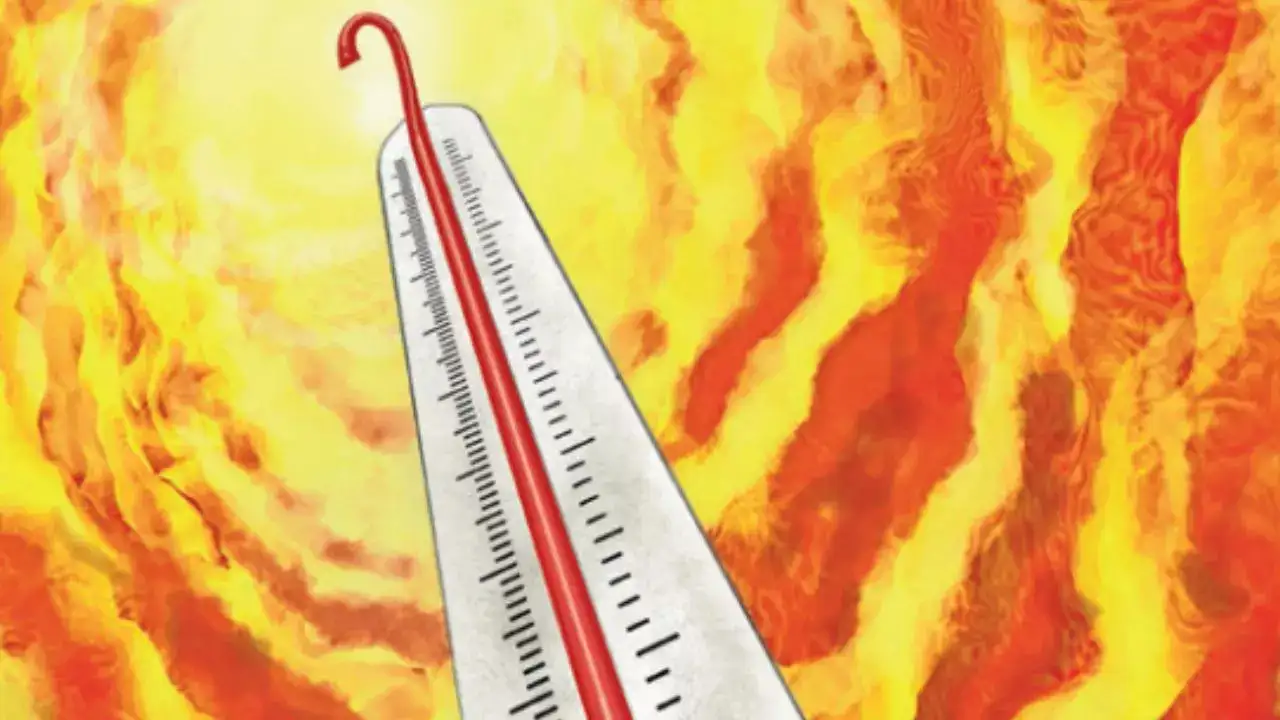 Heat Rain And Infections Bengaluru Battles Seasonal Health Spike