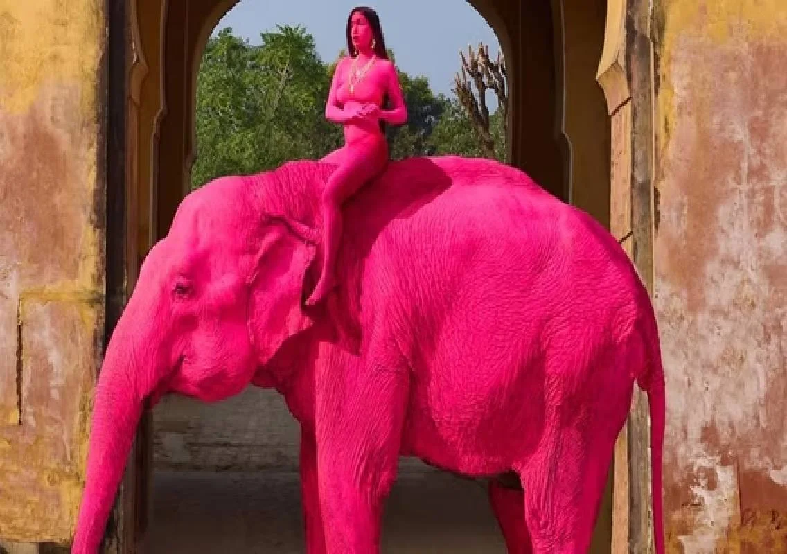 Artist faces backlash over pink elephant photoshoot