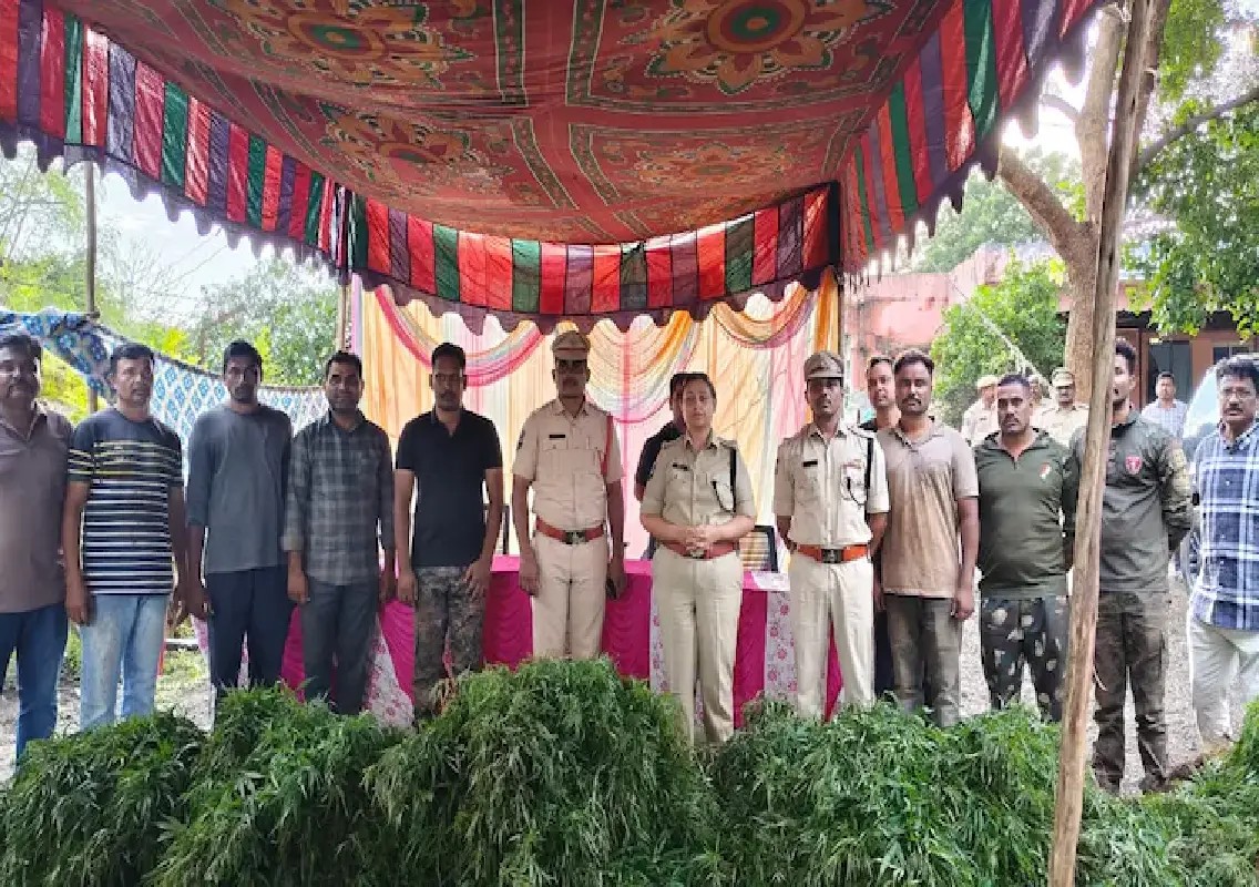 Telangana police arrest father-son duo in ₹1.5-crore cannabis case ...