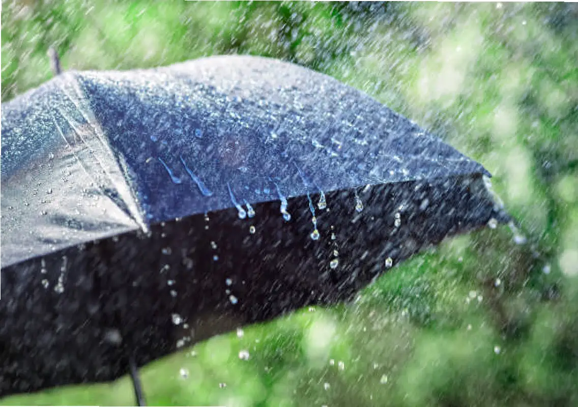 Mysuru receives 59% deficit South West Monsoon rainfall | News Karnataka