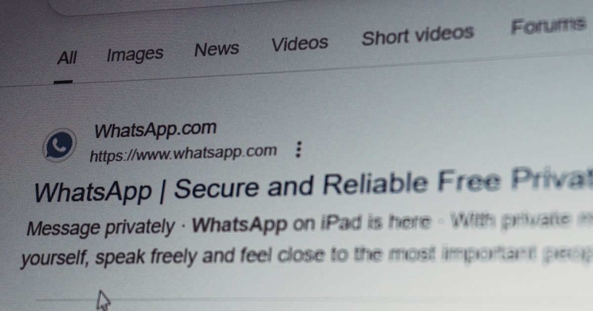 Reverse image search protection