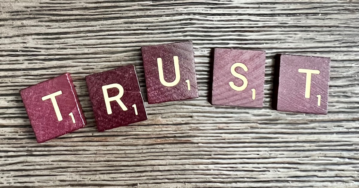Trust building online relationships