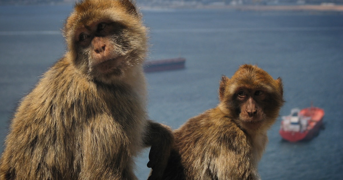 Indian family sitting in a living room during a rishta meeting, with subtle tension visible