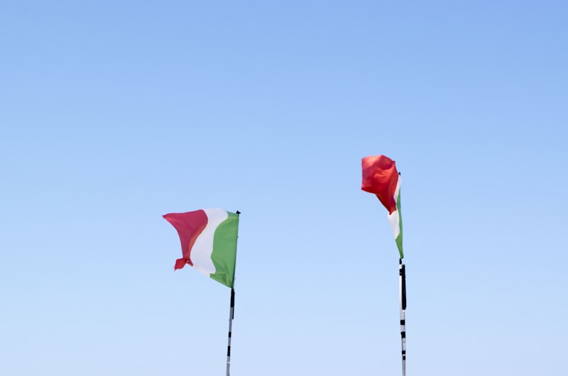Checklist graphic showing red flags and green flags during arranged marriage meetings