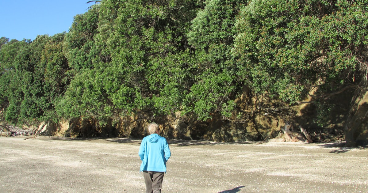 woman in blue long sleeve shirt standing on gray asphalt road during daytime