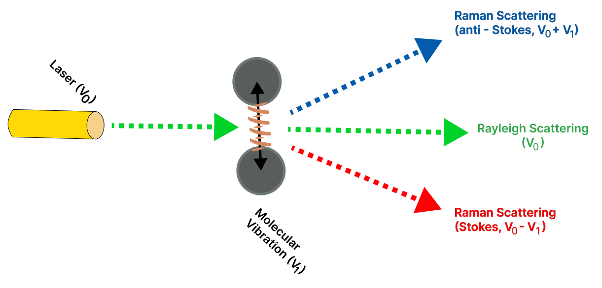 Raman spectroscopy working process.png
